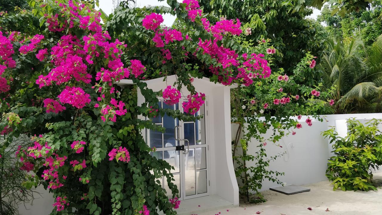Athiriveli Hotel Thoddoo Exterior photo